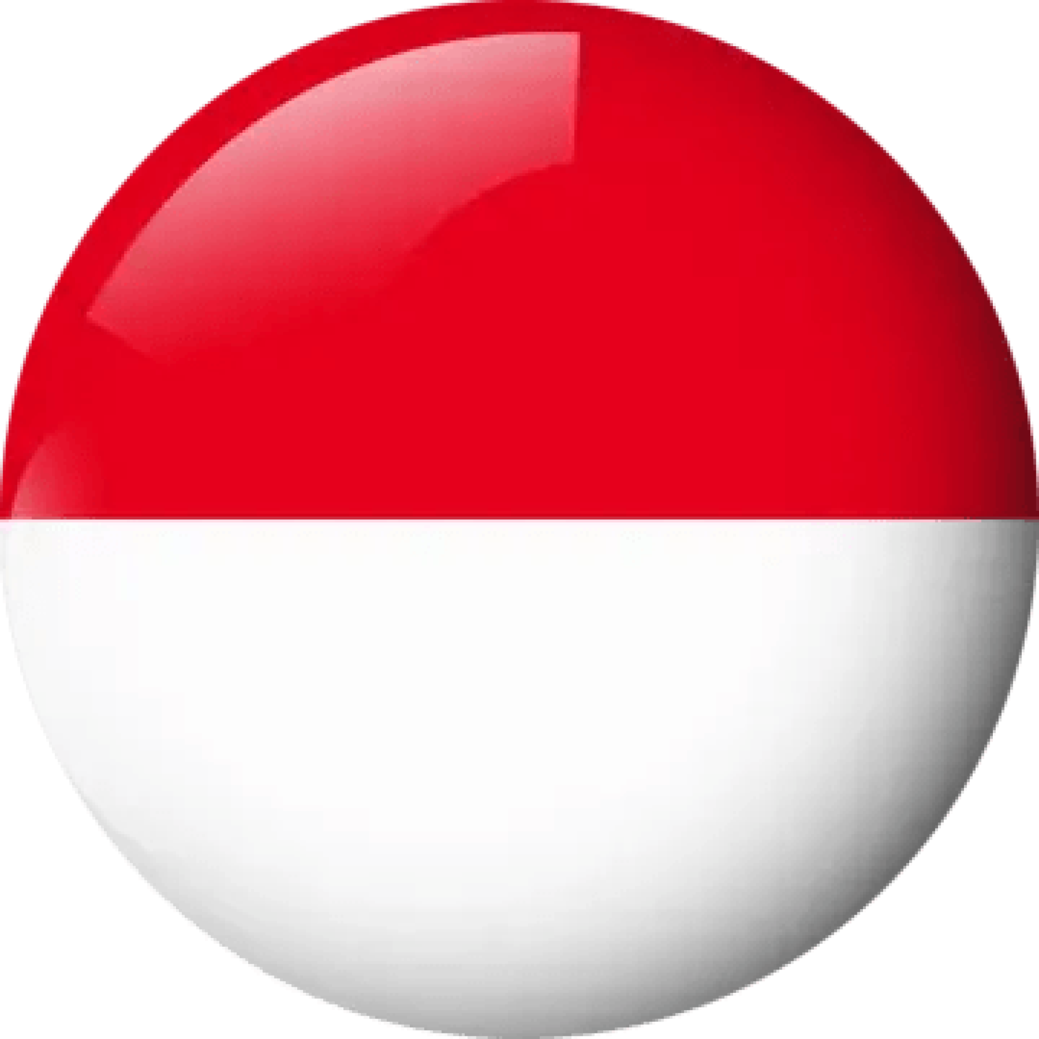 pngtree-indonesia-round-flag-glossy-glass-effect-vector-transparent-background-png-image_11427454